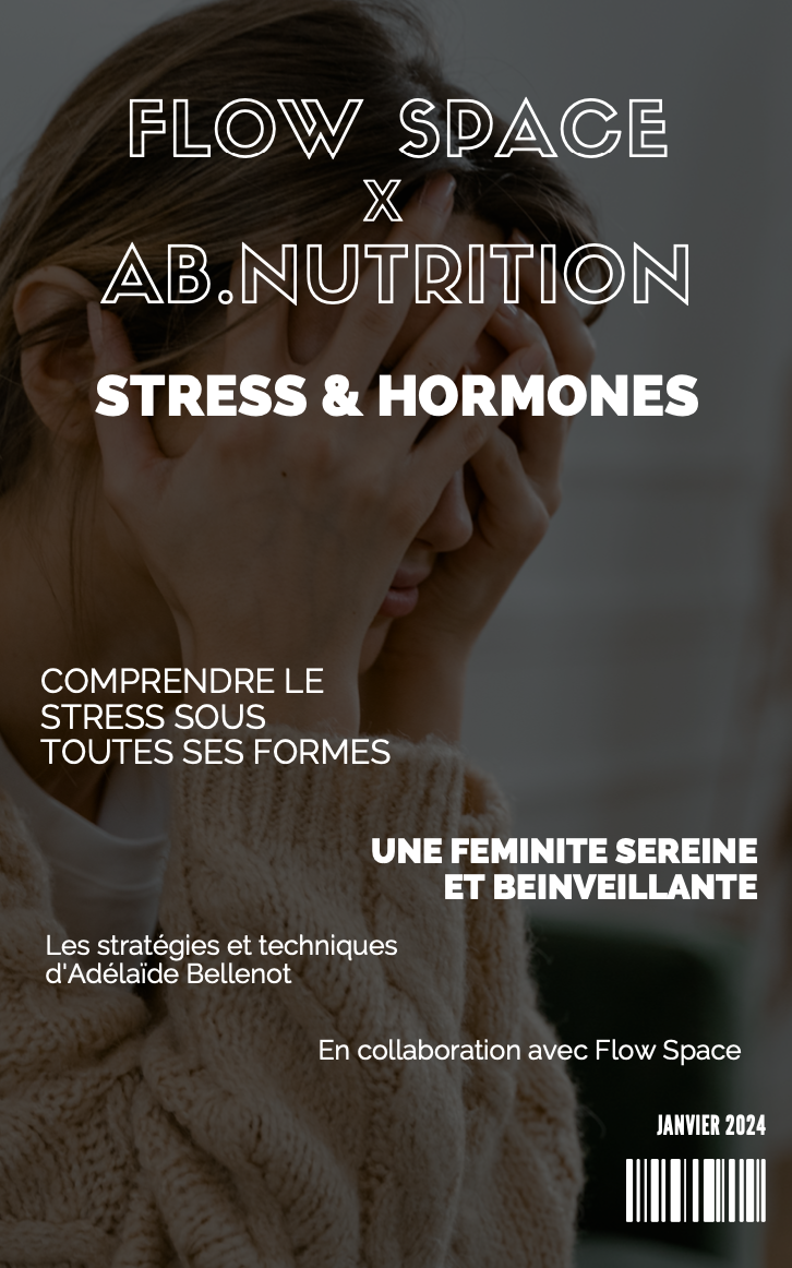 Guide Flow Space : Le guide complet – Stress & hormones et comment retrouver un équilibre hormonal – 2024